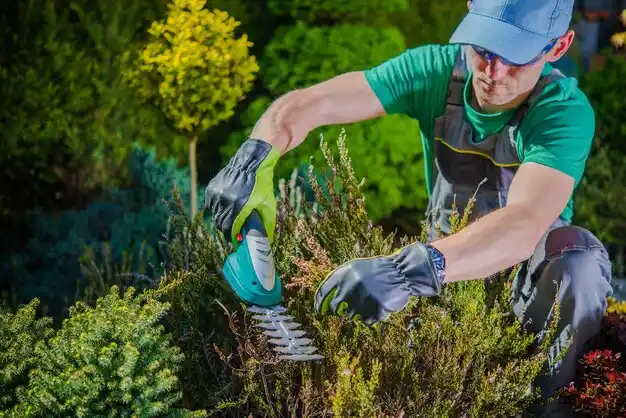 landscaping services Firthcliffe
